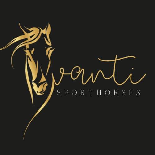 Avanti Sporthorses - Logo